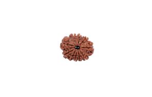 10 Mukhi