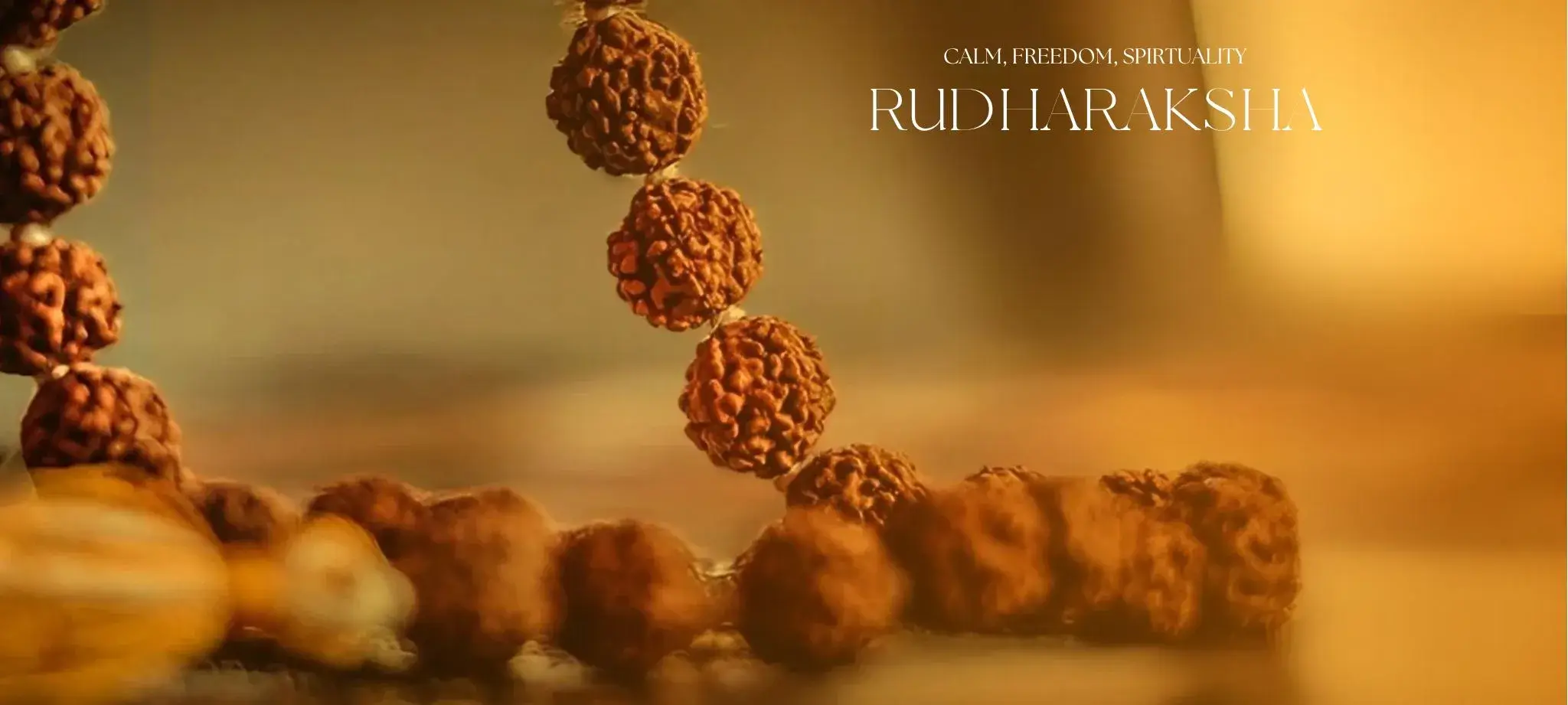 Rudraksha Banner